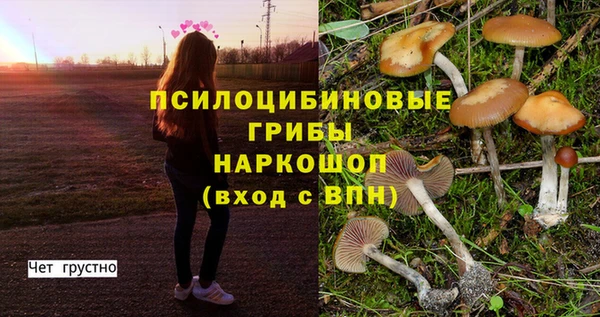 метамфетамин Аркадак